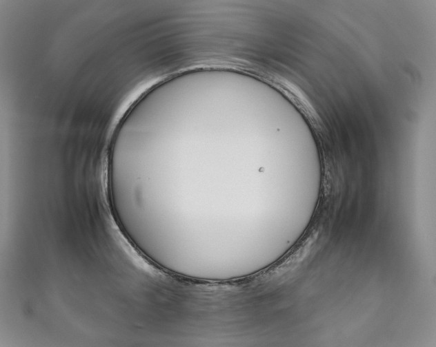 X0000111140804200906301016