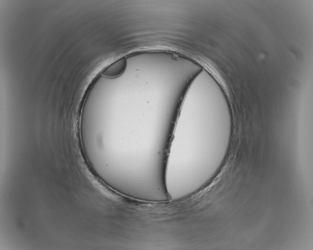 X0000111140805200906301016