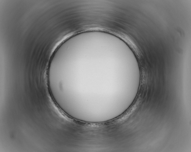 X0000111140806200906301016