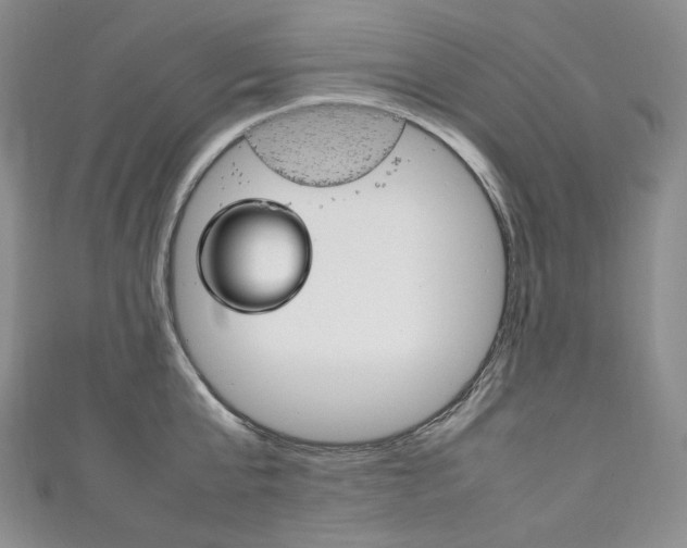X0000111140807200906301016