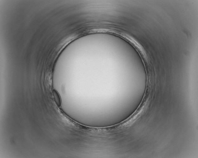 X0000111140809200906301016