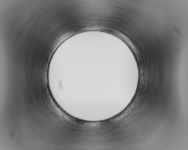 X0000111140810200906301016