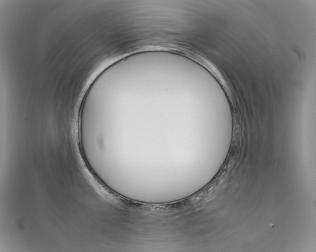 X0000111140811200906301016