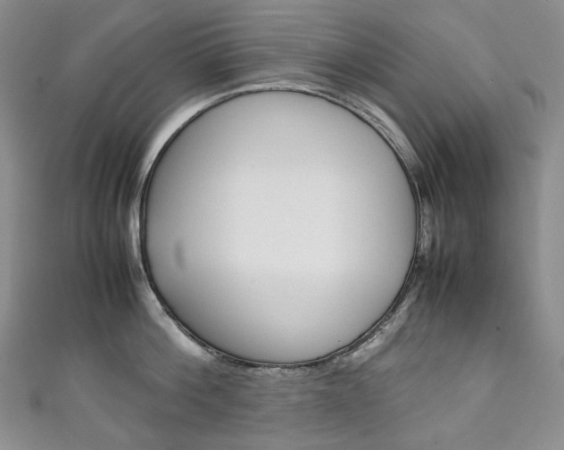 X0000111140812200906301016