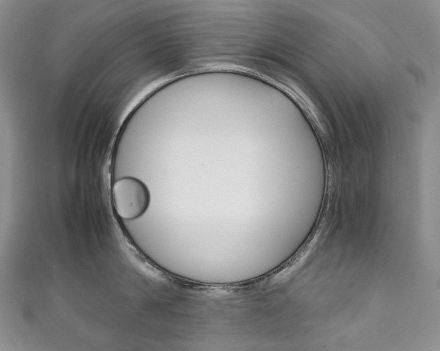 X0000111140814200906301016