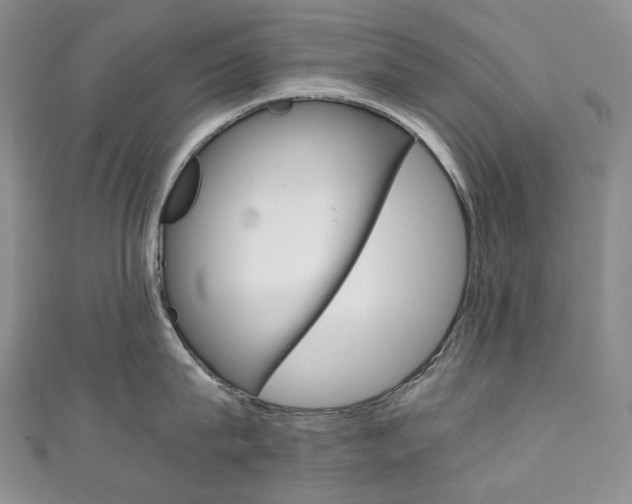 X0000111140815200906301016