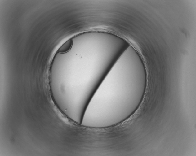 X0000111140816200906301016