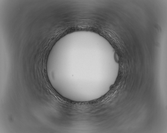X0000111140817200906301015