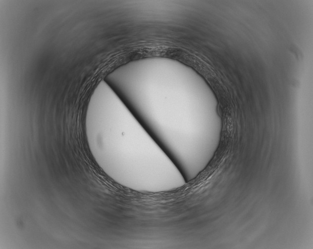 X0000111140818200906301015