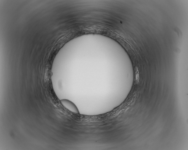 X0000111140819200906301015