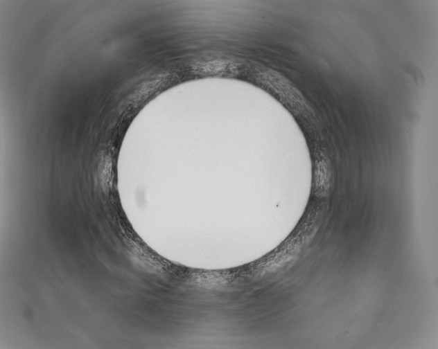 X0000111140820200906301015