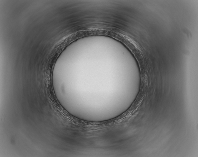 X0000111140821200906301015