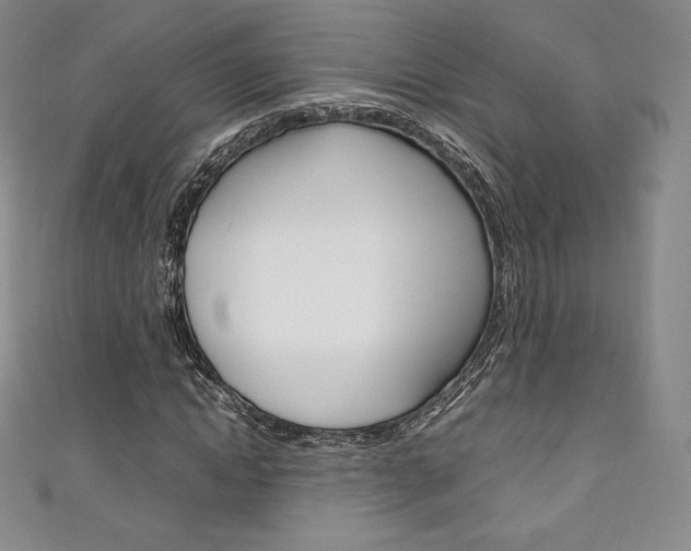 X0000111140822200906301015