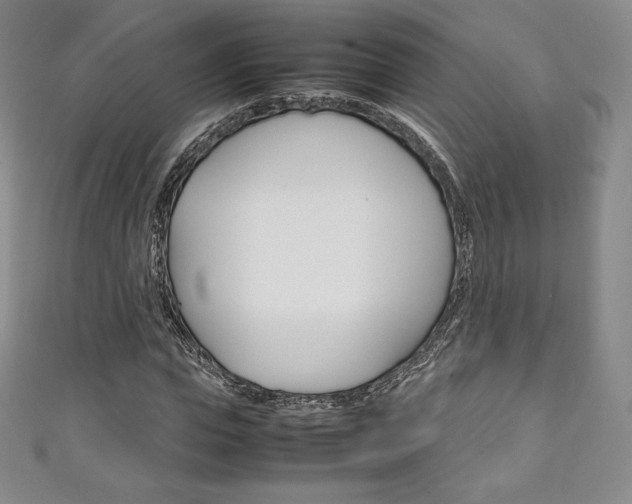 X0000111140823200906301015