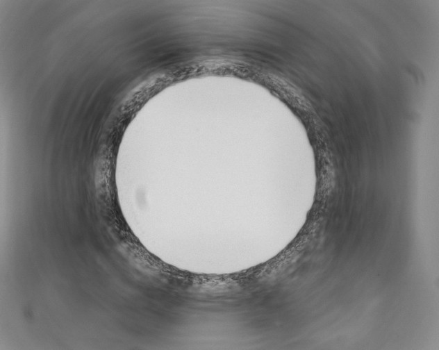 X0000111140824200906301015