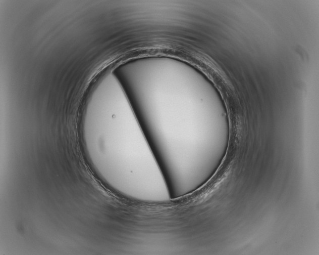 X0000111140826200906301015