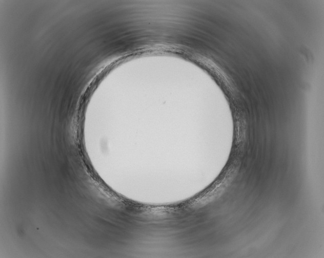 X0000111140828200906301015