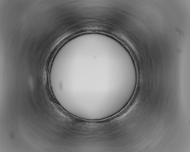 X0000111140829200906301015