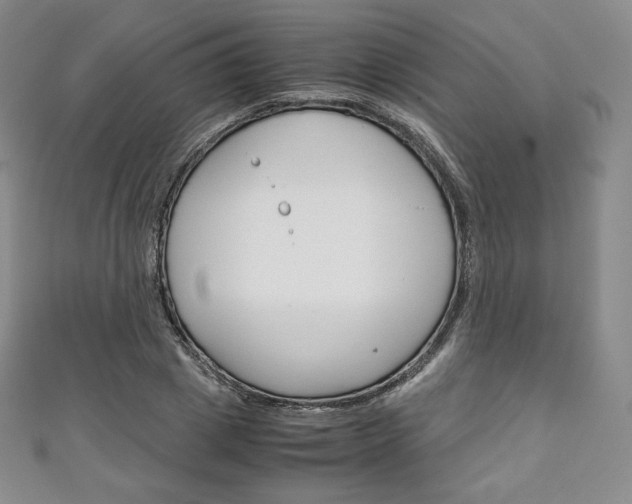 X0000111140833200906301015