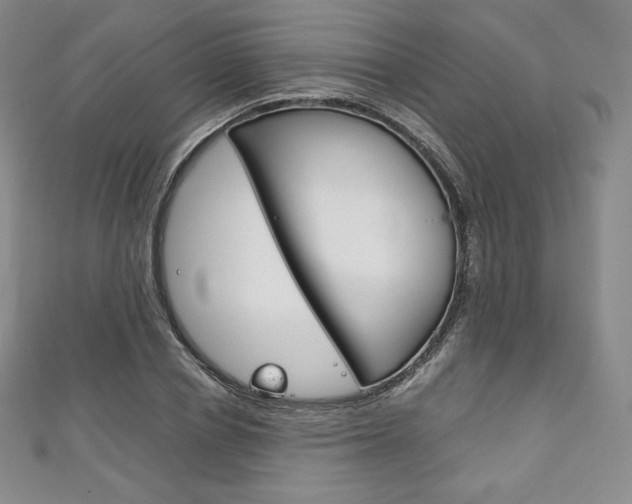 X0000111140834200906301015