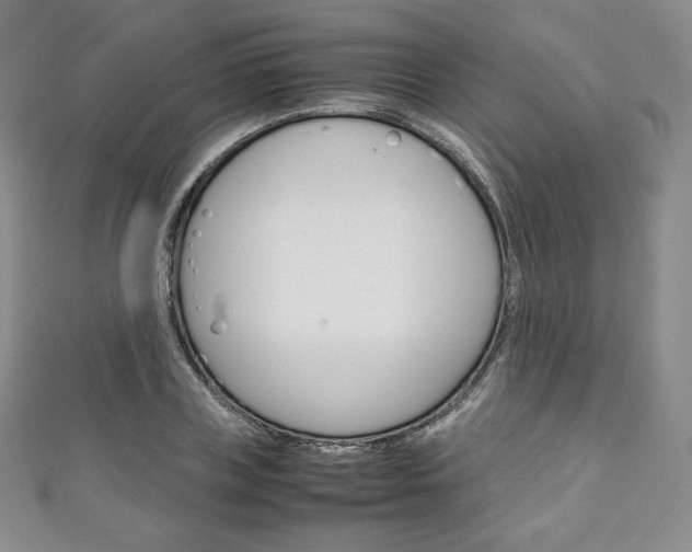 X0000111140835200906301015