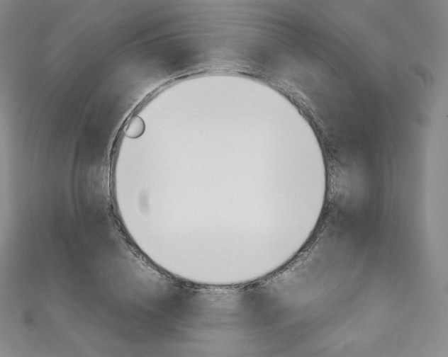 X0000111140836200906301015