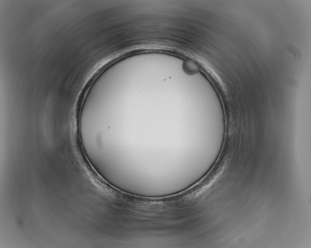 X0000111140837200906301015