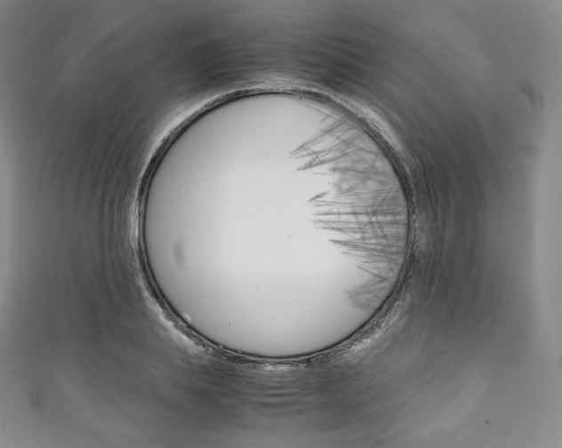 X0000111140839200906301015