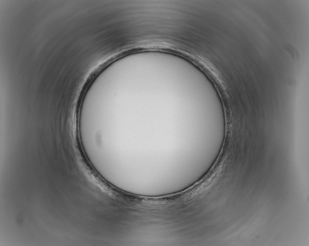 X0000111140840200906301015