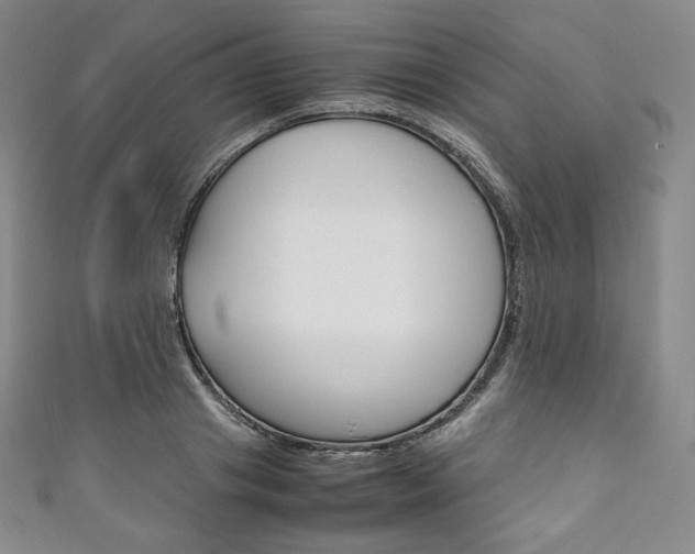 X0000111140841200906301015