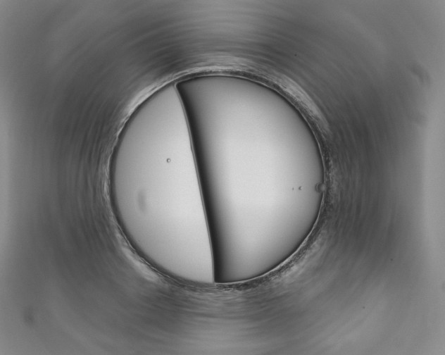 X0000111140842200906301015
