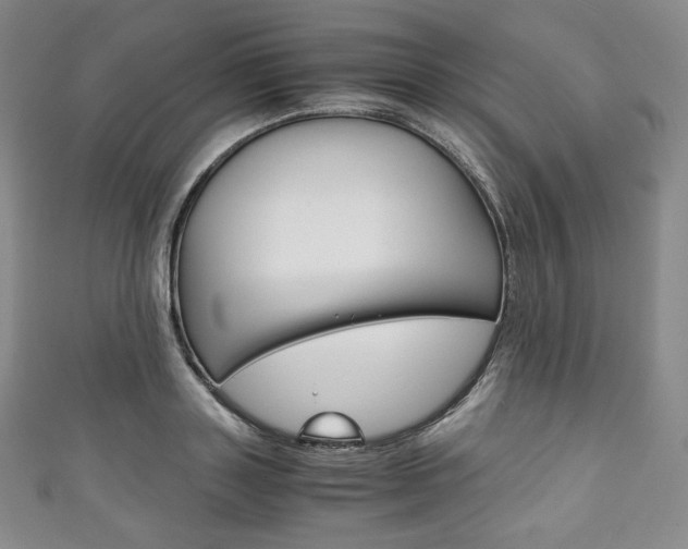 X0000111140843200906301015