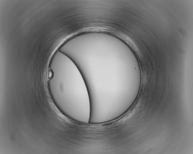 X0000111140844200906301015