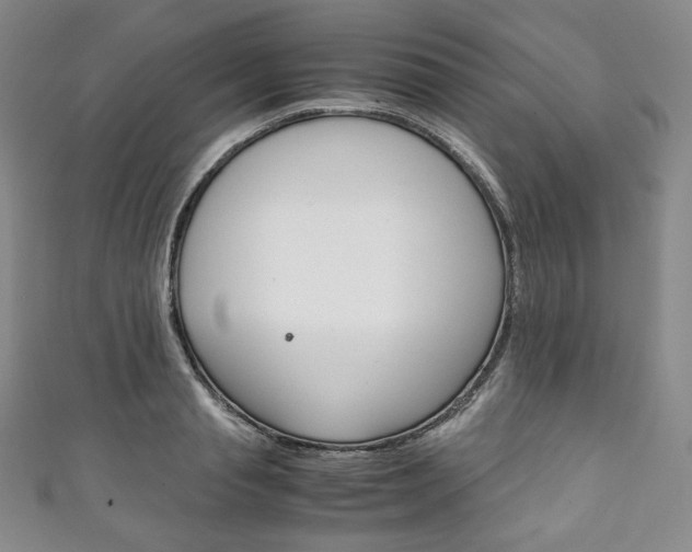 X0000111140845200906301015