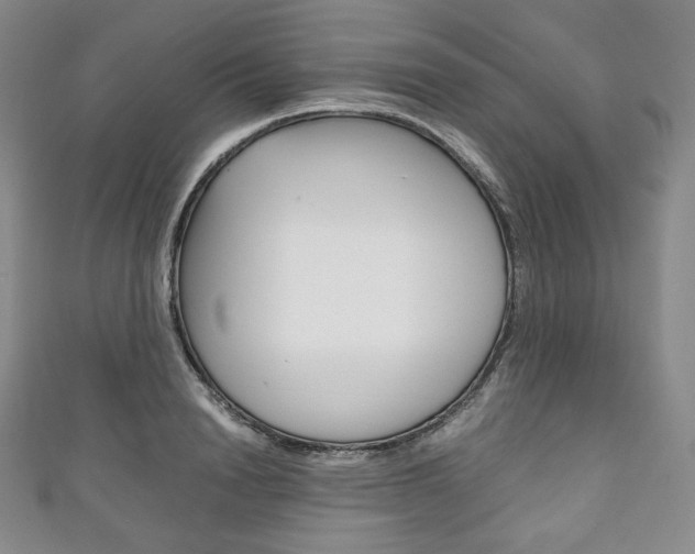 X0000111140846200906301015