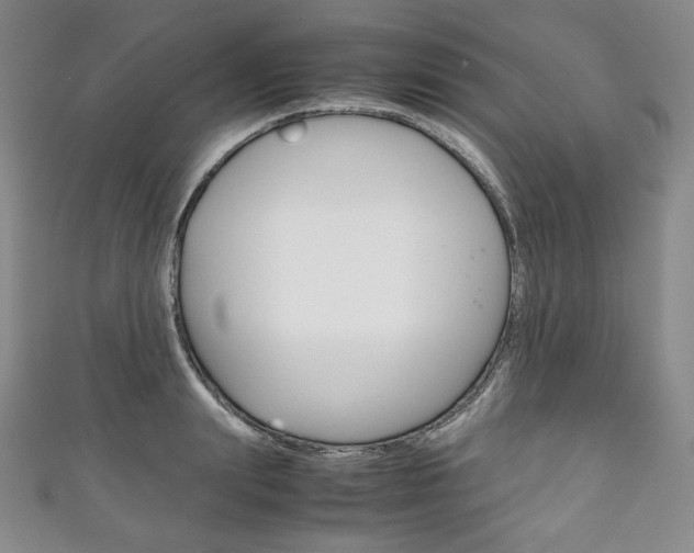 X0000111140847200906301015