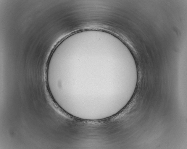 X0000111140848200906301015