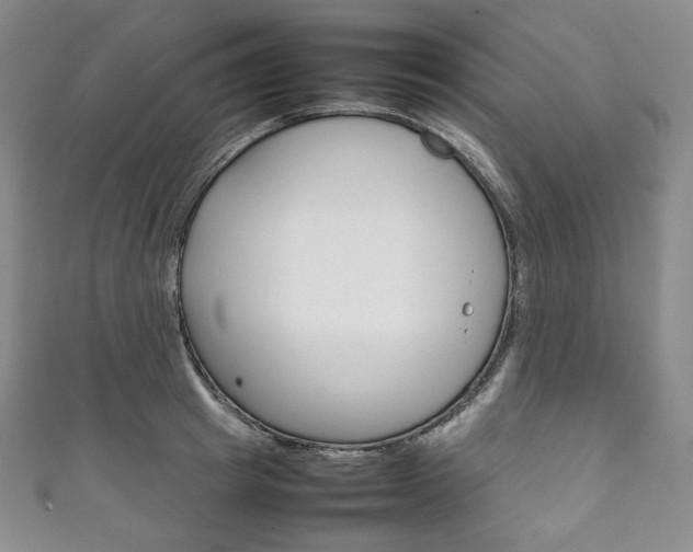 X0000111140849200906301015