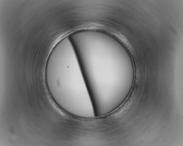X0000111140850200906301015