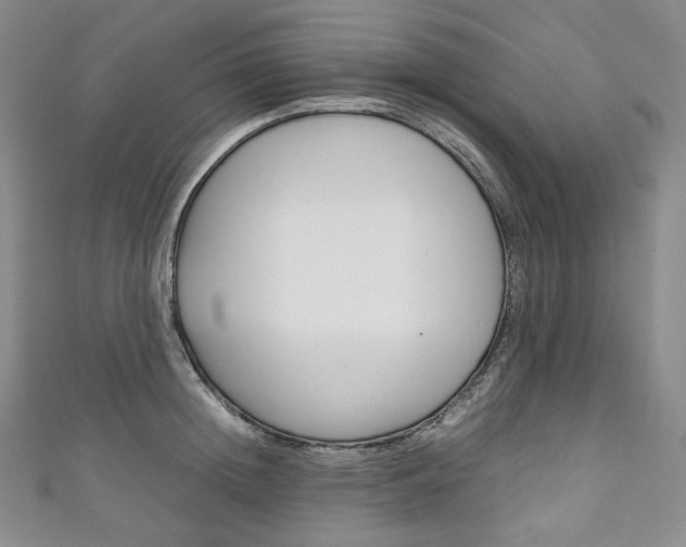 X0000111140852200906301015