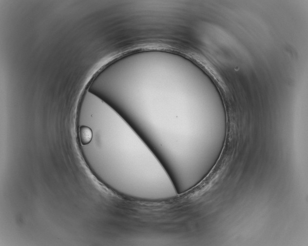 X0000111140853200906301015