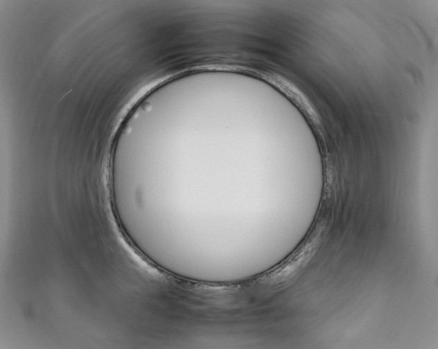 X0000111140855200906301015