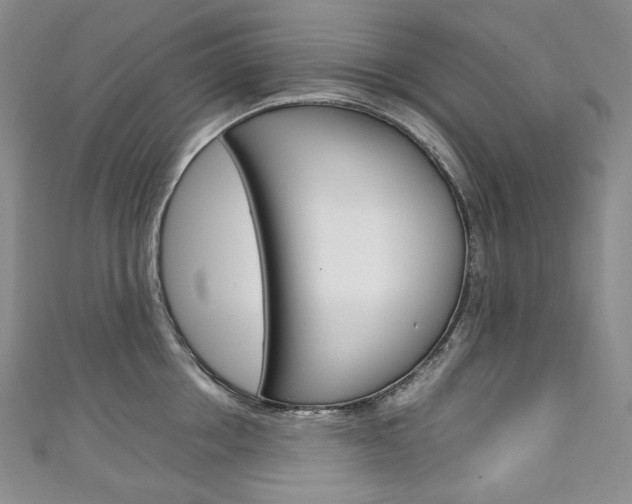 X0000111140858200906301015