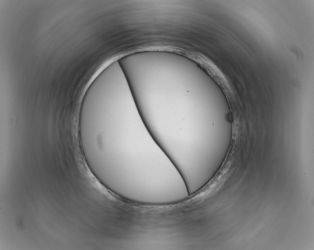 X0000111140860200906301015