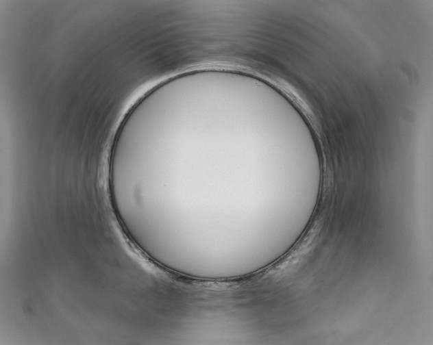X0000111140862200906301016