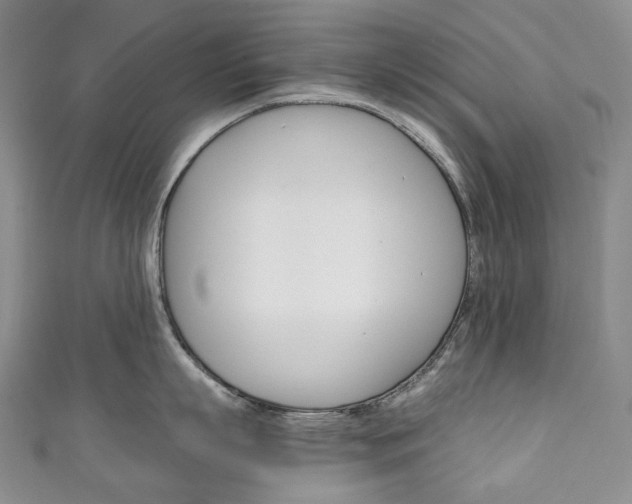 X0000111140863200906301016