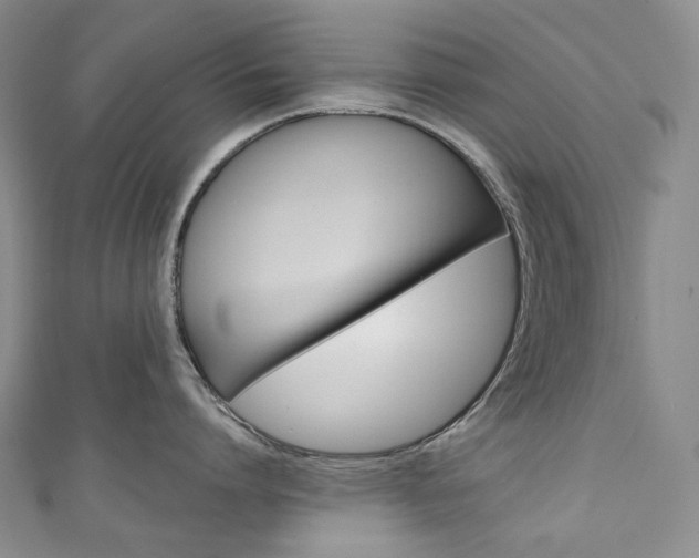 X0000111140864200906301016