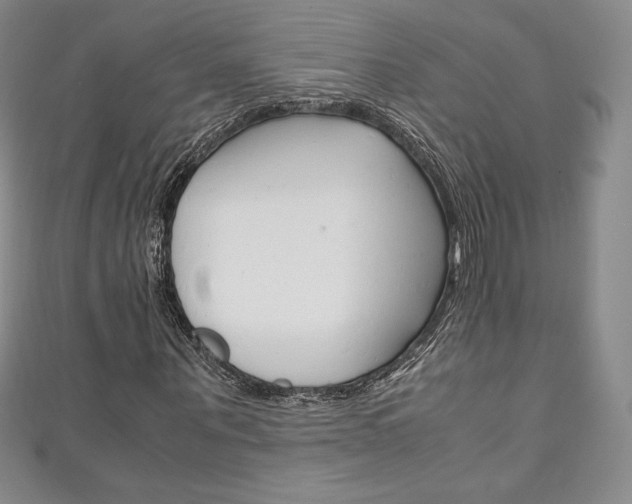 X0000111140867200906301015