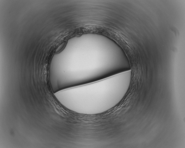 X0000111140868200906301015