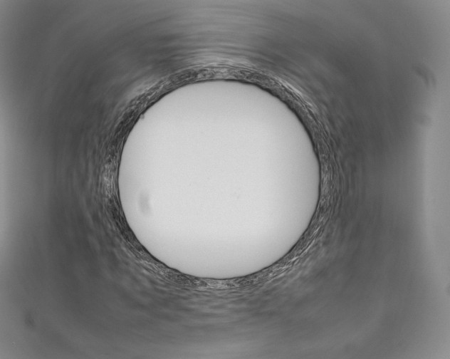 X0000111140869200906301015